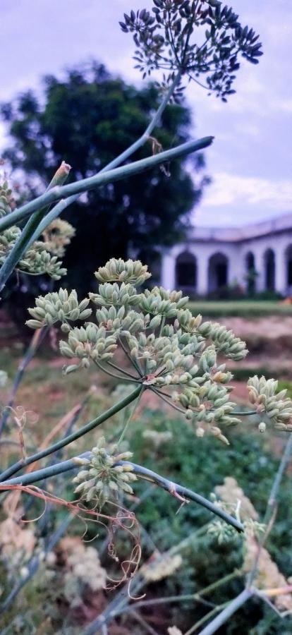 Royal Farm Bharatpur Daire Dış mekan fotoğraf